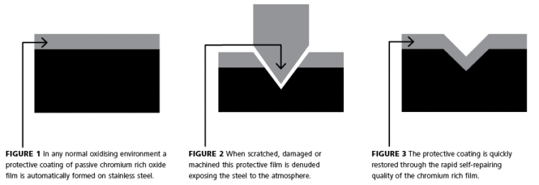 image of a drain cross section